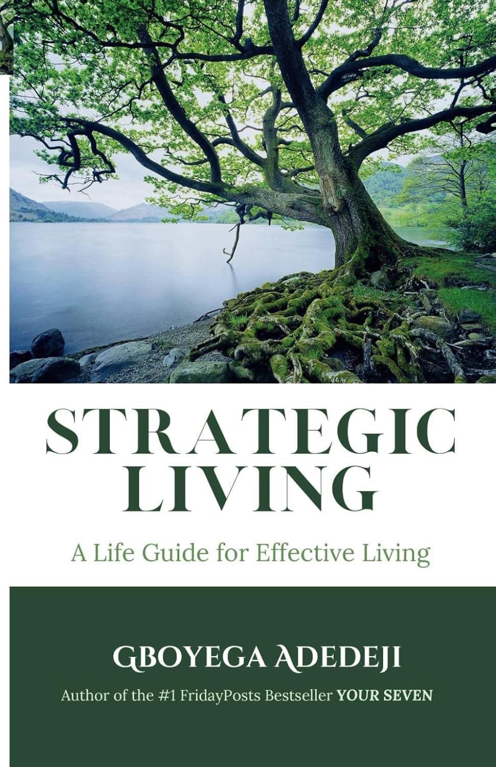 Strategic Living: A Life Guide for Effective Living (Paperback)